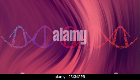 Image of dna strand over red lines on black background Stock Photo