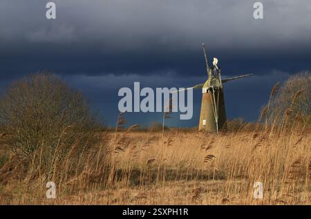 A view across reed beds towards Turf Fen Mill by the River Ant on the Norfolk Broads with stormy skies from Ludham, Norfolk, England, United Kingdom. Stock Photo