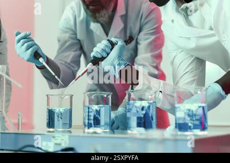 Close-up of scientists using micropipettes to transfer liquid into beakers in a chemistry lab. Wearing gloves and lab coats, working on scientific res Stock Photo
