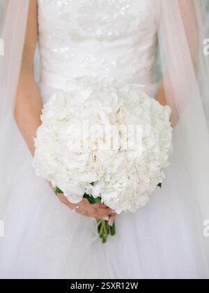 Bride in a beautiful white gown holds a round hydrangea bouquet, radiating elegance and joy on her special day. Stock Photo