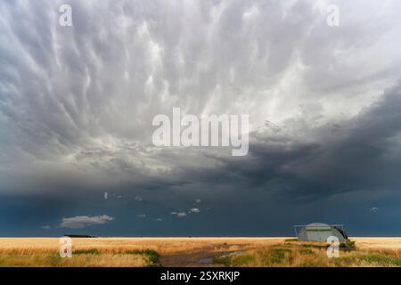 Ominous storm clouds forming over a flat prairie landscape Stock Photo