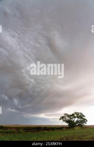 Shelf cloud forming over the plains with a single tree in the foreground Stock Photo