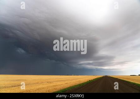 Dark shelf cloud approaching over a country road and vast wheat field Stock Photo