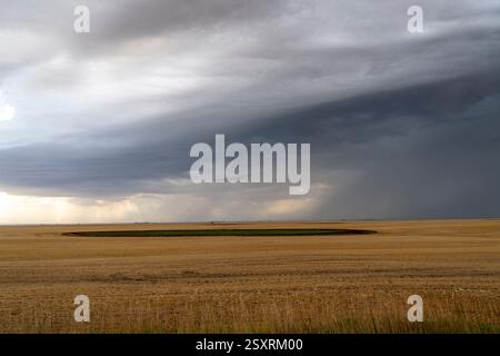 Shelf cloud forming over a dry harvested wheat field with rays of light shining through the clouds Stock Photo