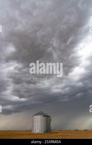 Metal grain silo standing in a wheat field under a dramatic, stormy sky Stock Photo