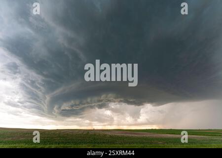 Dramatic supercell thunderstorm forming over a green field Stock Photo