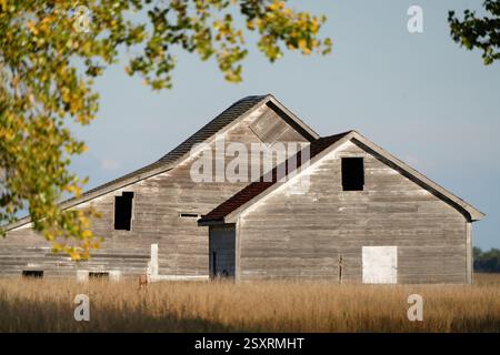 Old weathered grey wooden barn with broken windows and missing doors in a field Stock Photo