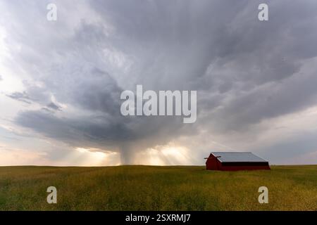 Sun rays shining through a dramatic rain shower over a red barn and a field Stock Photo