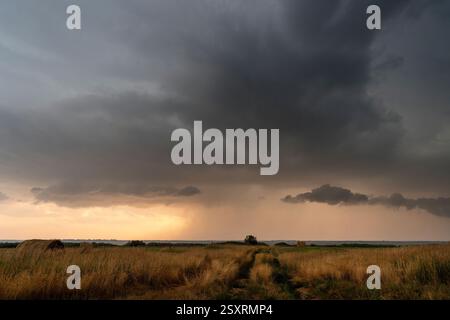 Ominous dark clouds gather over a field at sunset, creating a dramatic and moody scene Stock Photo
