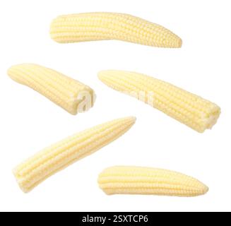 Yellow baby corn cobs in air on white background Stock Photo