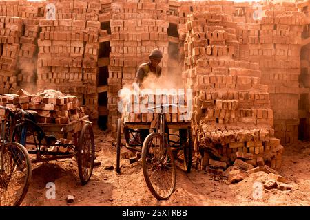 A brick worker is aligning bricks on a van. Stock Photo