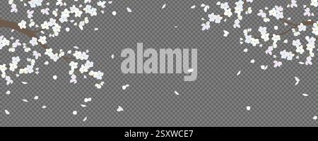 Blooming branches of white cherry trees in a flat style. The effect of blowing wind and flying petals. Japanese traditional Hanami, Valentine's Day, Mother's Day. Beautiful cherry Isolated on black. Stock Vector