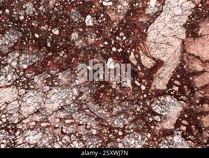 Breccia marble showing red veins and speckles covering surface Stock Photo