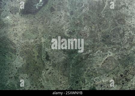Green marble surface with organic stone veins and polished texture. Elegant natural pattern. Smooth mineral details. Abstract background Stock Photo