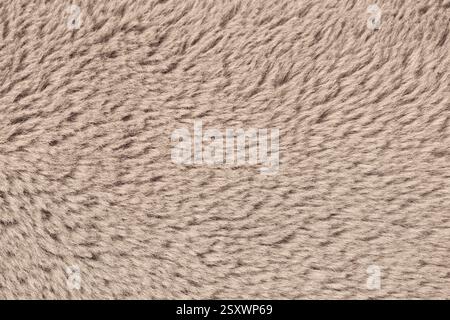 Soft beige short-pile faux fur texture. Perfect for backgrounds, fashion design, pillows, and creative projects. Stock Photo