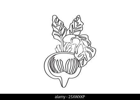 Line art botanical with beet isolated on white background. Hand drawn outline plant vegetable vector illustration. Graphic design for Birthday Invitat Stock Vector