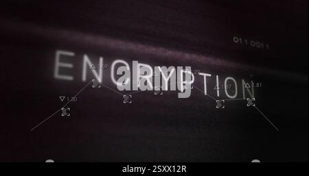 Image of encryption text over network of connections with data Stock Photo