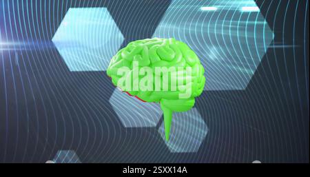 Image of shapes moving over spinning brain Stock Photo