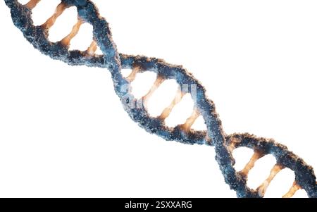 Biological DNA structure with bioengineering concept, 3d rendering. 3D illustration. Stock Photo