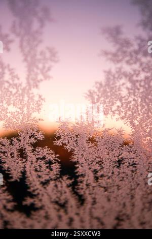 Close up of a frosty window with blurry pink sunrise in background Stock Photo