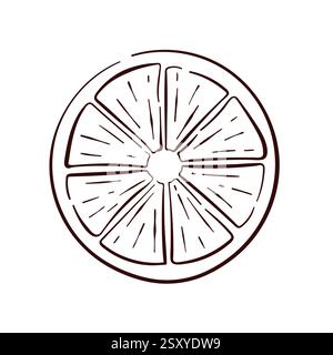 Lemon round slice in line art style. Tropical summer citrus fruit piece with segments. Design for menu, fruit and grocery store. Vector illustration Stock Vector