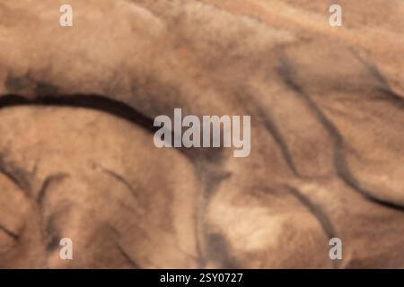 Golden sand texture, blurred background Stock Photo