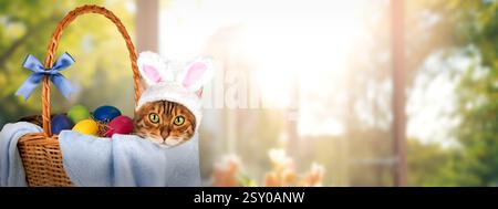 Cat with rabbit ears in a basket with Easter eggs. Easter banner, copy space. Stock Photo