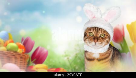 Ginger cat with bunny ears among Easter eggs and spring flowers. Easter background. Copy space. Stock Photo