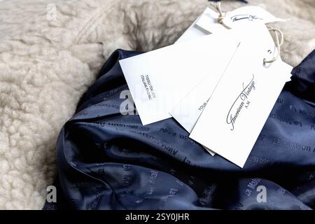 February 6, 2025, Copenhagen, Denmark: The logo of Kia is seen on a car