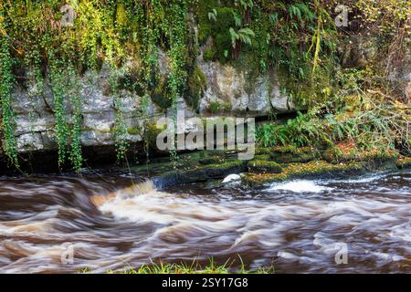 River in Cladagh Glen, Marble Arch Caves, Co. Fermanagh, Ireland Stock Photo