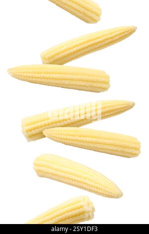Yellow baby corn cobs in air on white background Stock Photo