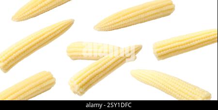 Yellow baby corn cobs in air on white background Stock Photo