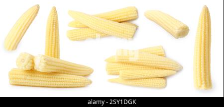Yellow baby corn cobs isolated on white Stock Photo
