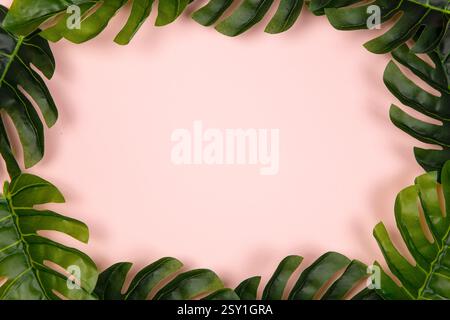 Monstera leaves frame on pink background Stock Photo