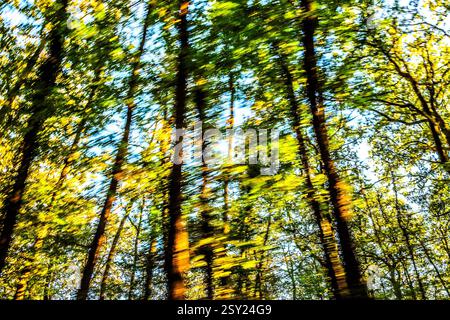 Image of blurred trees taken from moving vehicle - France. Stock Photo