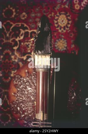 Rudra veena instrument India Stock Photo