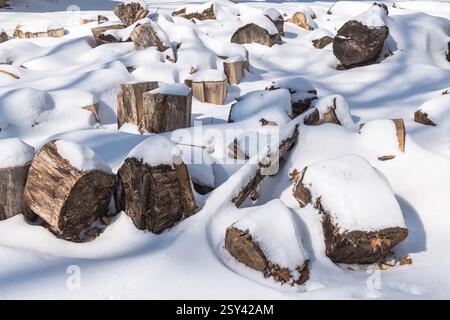 Cut firewood rounds under several inches of snow in Althom, Pennsylvania, USA on a sunny winter day Stock Photo