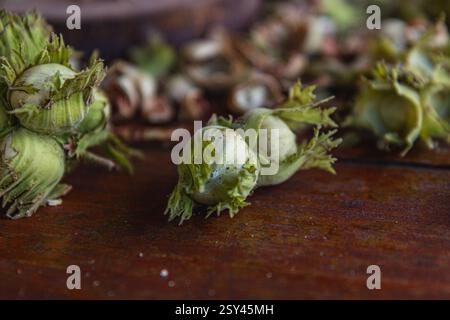 A pile of hazelnuts on a table outside An elderly man cleans hazelnuts with a hammer High quality photo Stock Photo