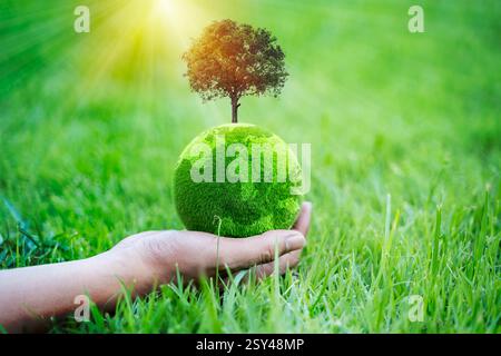 A hand holds a green globe made of grass and soil, symbolizing environmental sustainability and the planet's care. Ecological responsibility,conservat Stock Photo