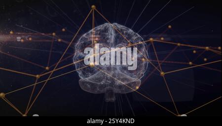 Image of network of connections over human brain Stock Photo
