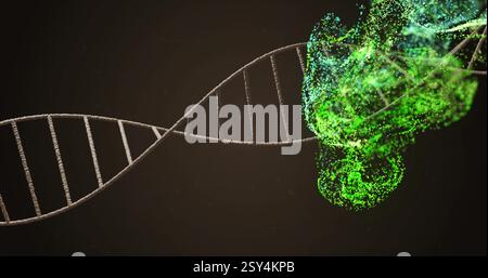 Image of dna strand over green spots Stock Photo