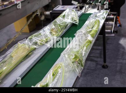 Automatic food flow wrapping machine. Food packaging machine Stock Photo