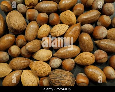 Mixed nuts. Uncracked walnuts, hazelnuts, almonds, and pecans in their shells. A healthy, nutrient-rich mix, perfect as a snack or design background. Stock Photo