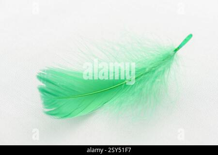 Closeup view of a green soft feather on a white pillow. Fluffy airy feather lying on white fabric. Sweet dreams concept. Stock Photo
