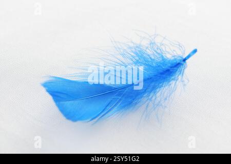 Closeup view of a blue soft feather on a white pillow. Fluffy airy feather lying on white fabric. Sweet dreams concept. Stock Photo