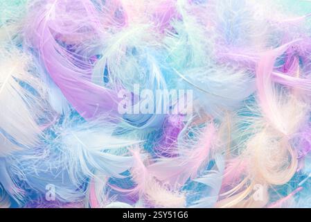Closeup view of colorful feathers. Angelic pastel fluffy background. Beautiful soft airy concept. Stock Photo
