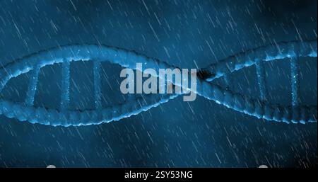 Image of dna strand spinning over dark background Stock Photo