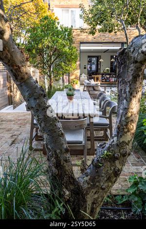 View through gnarled tree trunk with garden seating for low maintenance contemporary redesign of West London home. Garden design by Amelia Bouquet. Stock Photo