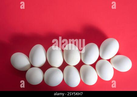 A collection of white eggs beautifully arranged on a red background, perfect for representing nutritional themes, agriculture, or creative culinary im Stock Photo
