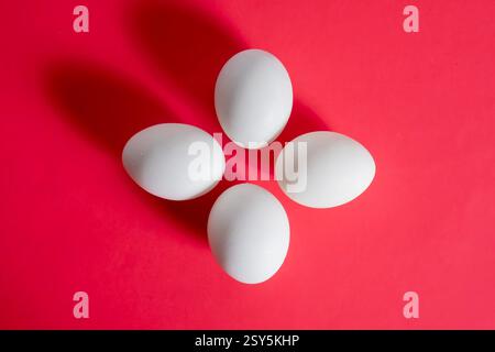 Four white eggs are beautifully arranged in a symmetrical pattern on a bold red background. Stock Photo